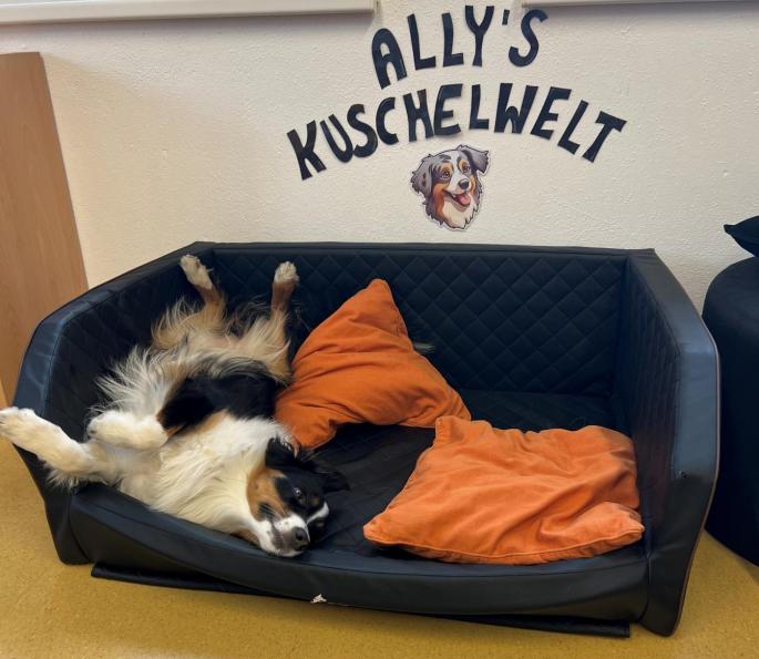 Ally auf der Couch