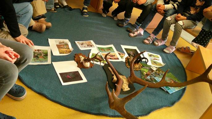 Bilder von Tieren und Geweih liegen am Boden 