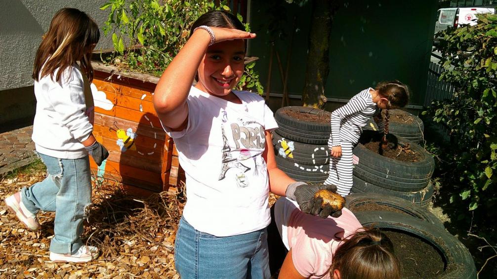 4 Kinder beim Kartoffelnernten