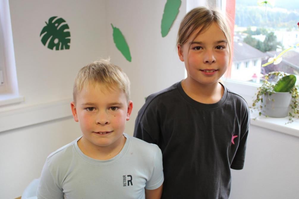 Blaue Gruppe Vetreter