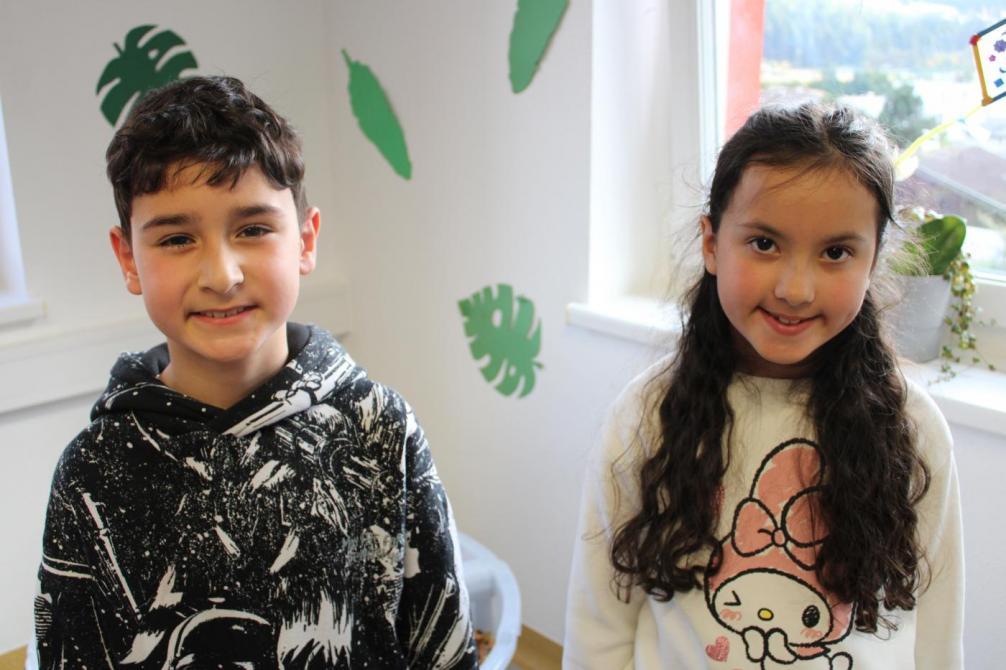 Grüen gruppe Vertreter