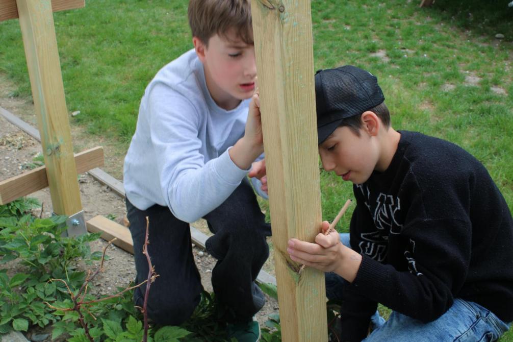 Kinder bauen Staude