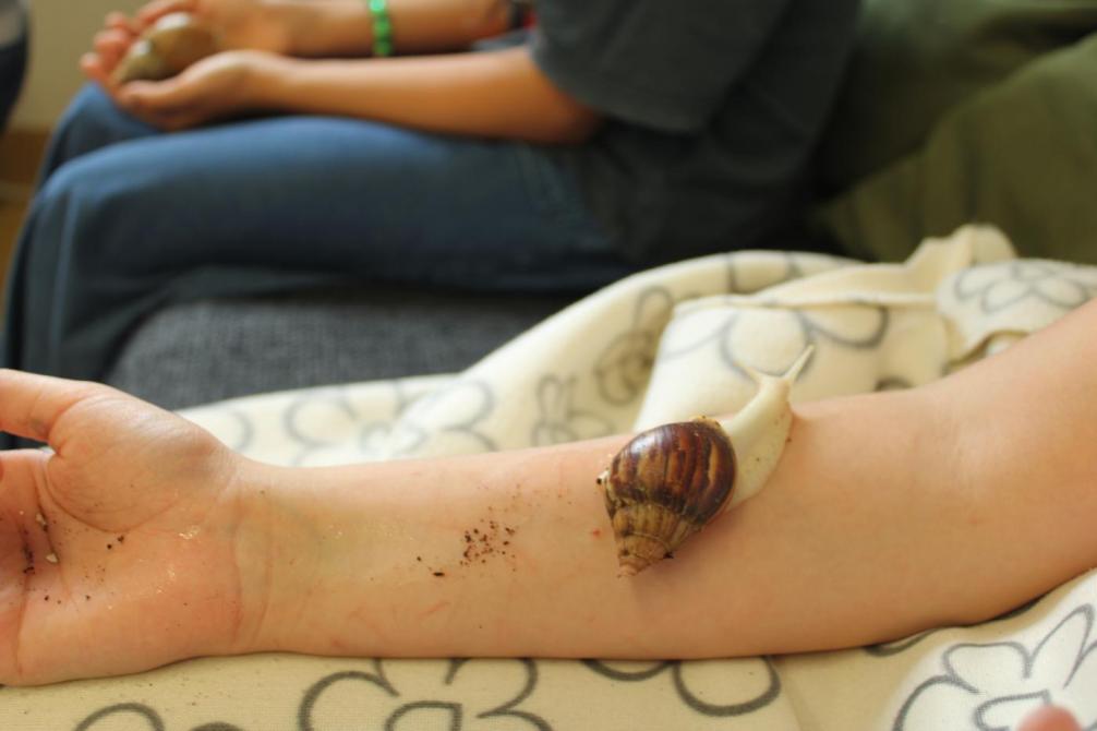 Kindesarm mit einer Schnecke 