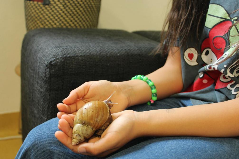 Kindeshände mit großer Schnecke 