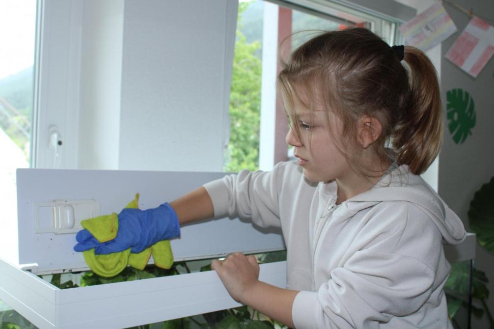 Kind putzt das Schneckenterrarium
