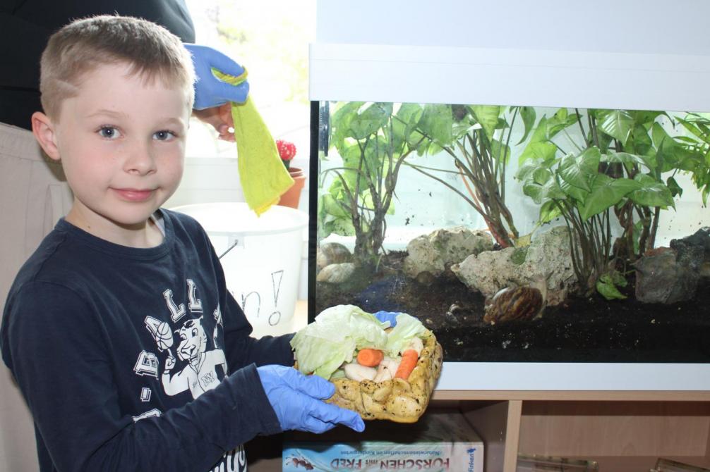 ein Kind mit Futter für die Schnecken in der Hand 
