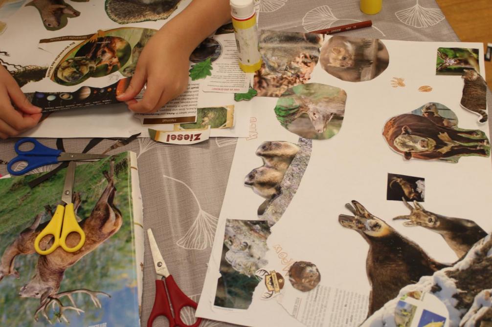 Collage in der Lieblingsfarbe (braun)