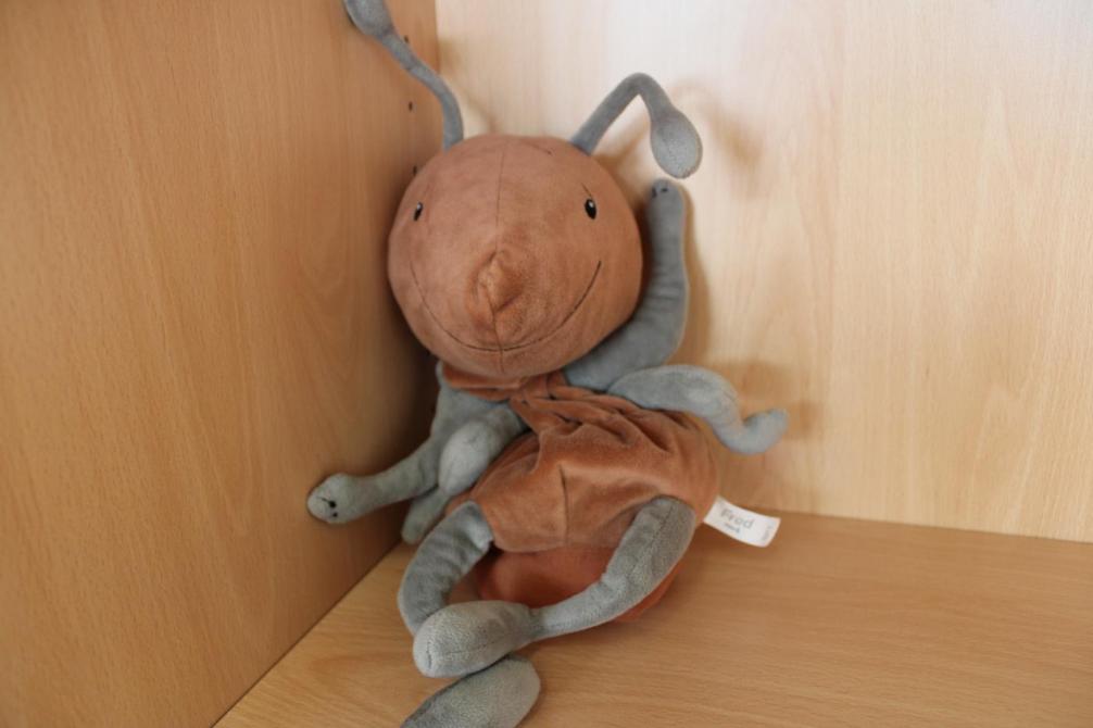 Fred die Ameise sitzt im Schrank 