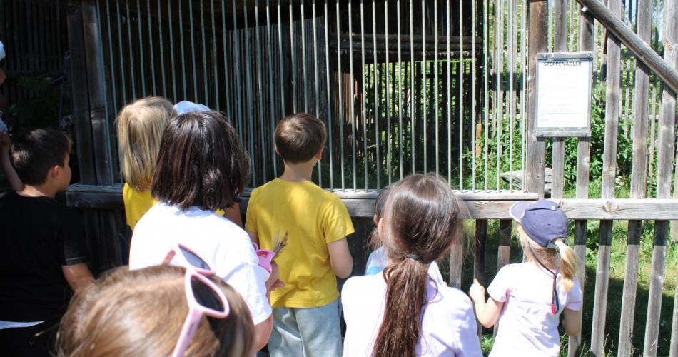 Greifvogelpark